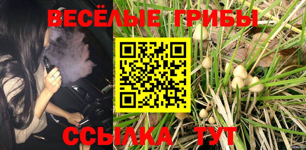 Галлюциногенные грибы GOLDEN TEACHER Северск