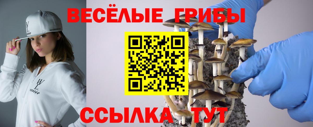 Галлюциногенные грибы мухоморы  Вход с VPN  Северск 