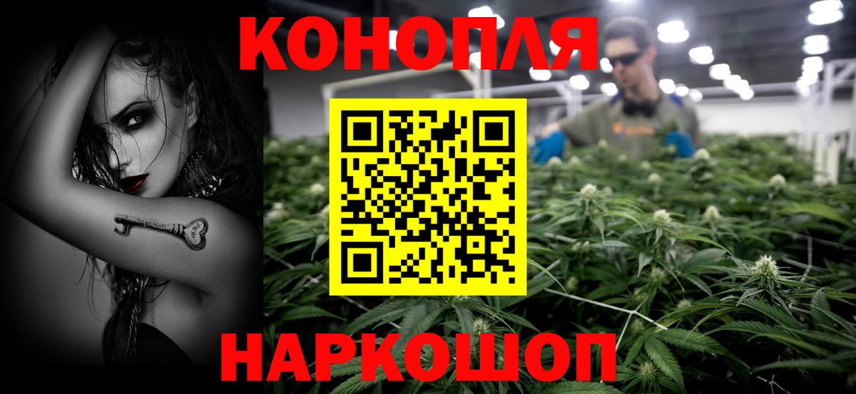 Бошки Шишки конопля Северск